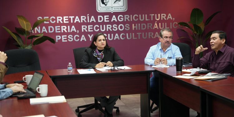 Avanza Sonora en integración de expediente para reconocimiento internacional como zona libre de influenza aviar