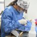 Gobierno de Hermosillo mantendrá en mayo esterilizaciones gratuitas para perros y gatos
