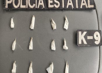 Con precisión y disciplina, PESP K-9 concreta detención en Hermosillo