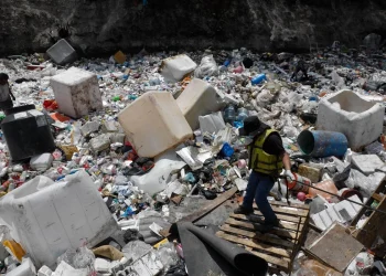 México produce 139 mil toneladas diarias de basura; sólo son tratados el 5% de los residuos