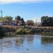 Muere menor en las aguas del Canal Bajo