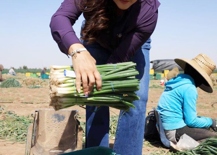 Reconoce Gobierno de Sonora la aportación de las y los trabajadores agrícolas a la economía del estado