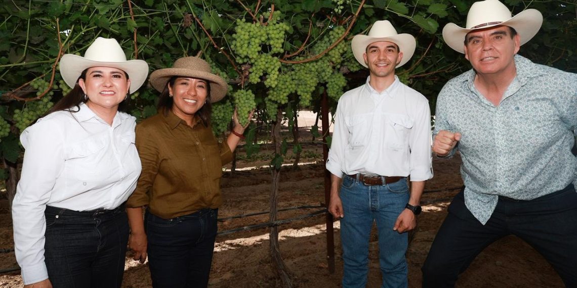 Gobierno de Sonora y Federación fortalecen el potencial agrícola de la entidad con reconversión productiva y generación de empleo