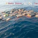 Semar asegura más de dos toneladas de cocaína en el Golfo de Tehuantepec