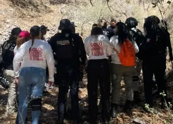 Hallan 4 osamentas en fosas clandestinas en Nogales
