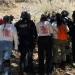 Hallan 4 osamentas en fosas clandestinas en Nogales