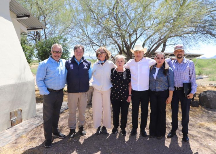 Gobernador Durazo y Gobierno de México fortalecen la conservación del bisonte en Sonora