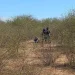 Localizan a hombre sin vida en el valle de Empalme