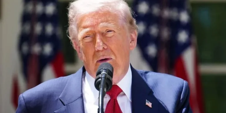 “Tenemos un problema porque cárteles gobiernan México”: Trump