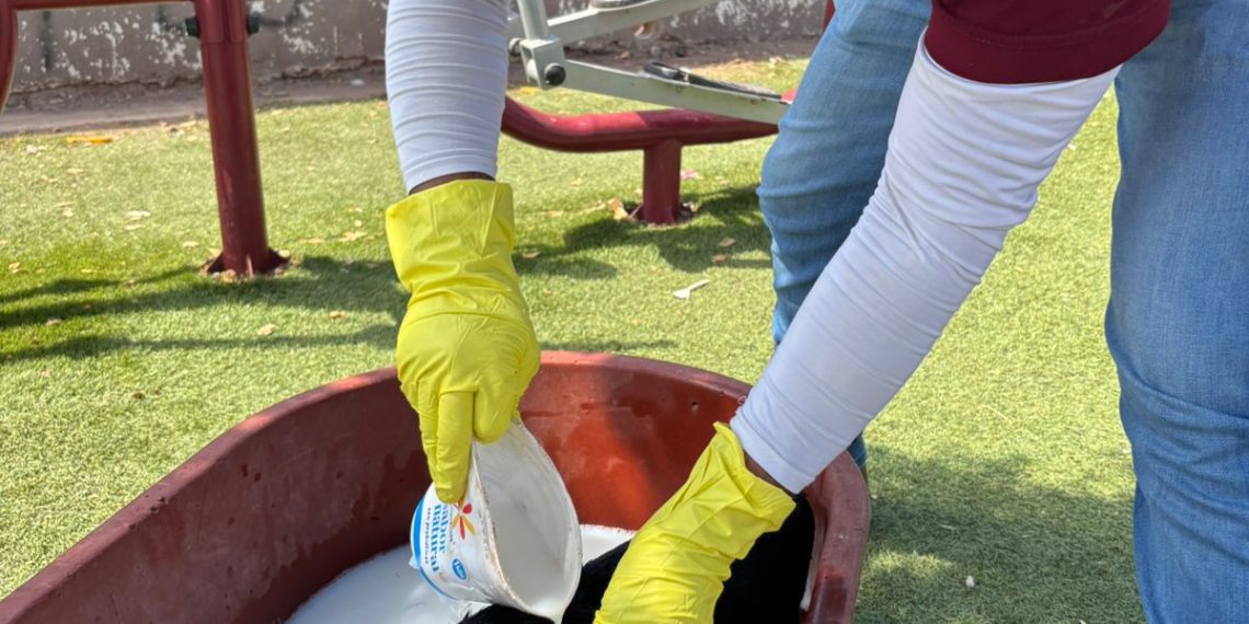 Refuerza Salud Sonora acciones preventivas contra la rickettsia para proteger a las familias