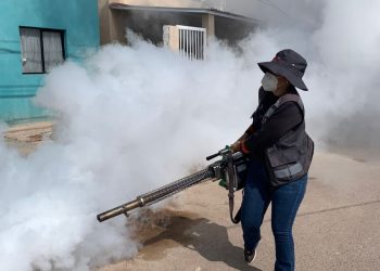 Salud Sonora fortalece la prevención y control del dengue