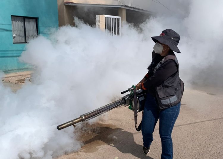Salud Sonora fortalece la prevención y control del dengue