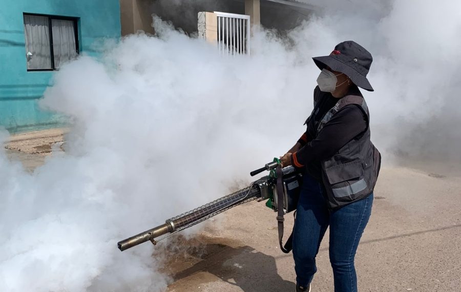 Salud Sonora fortalece la prevención y control del dengue