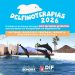 Abre Gobierno de Sonora convocatoria para Delfinoterapias 2026