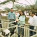 Gobierno de Sonora reconoce a productores lecheros en el Día Mundial de la Leche