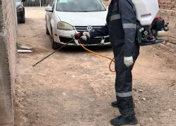Refuerza Salud Sonora acciones contra la rickettsia con más de 2 mil 600 fumigaciones