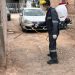 Refuerza Salud Sonora acciones contra la rickettsia con más de 2 mil 600 fumigaciones