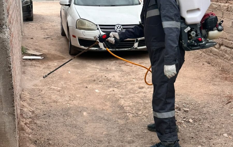 Refuerza Salud Sonora acciones contra la rickettsia con más de 2 mil 600 fumigaciones