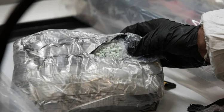Imparable el mercado mundial de drogas: ONU revela que hay más consumo y nuevas sustancias