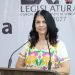 Busca diputada Ernestina Castro Valenzuela armonizar la legislación municipal con el nuevo límite constitucional de regidurías