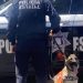 Entrenamiento y precisión de la Unidad K-9 de la PESP dan resultados en operativo preventivo