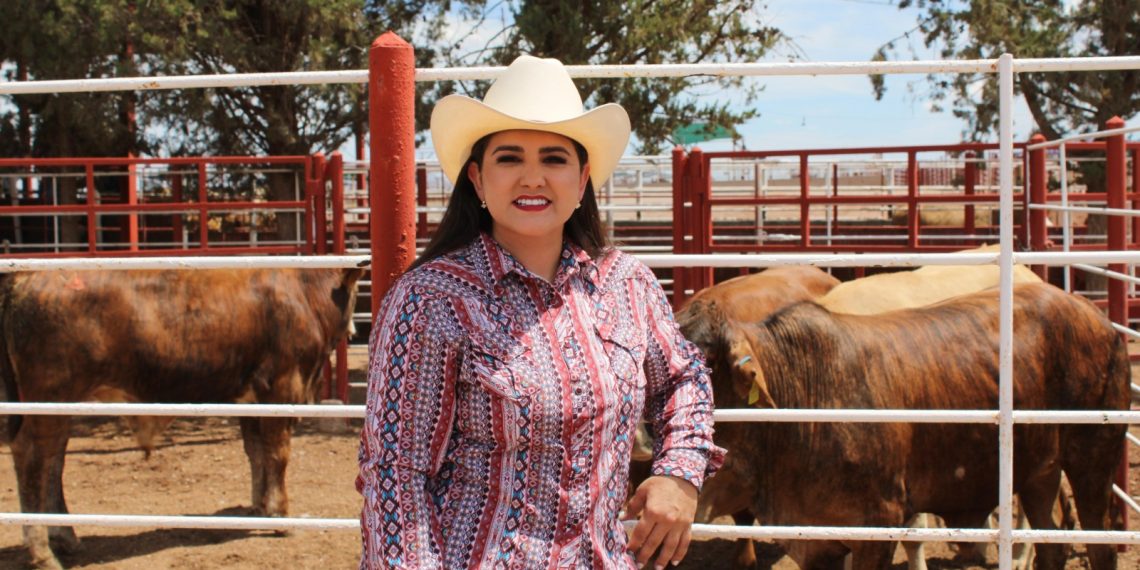 Refuerzan Sonora, México y Estados Unidos acciones para proteger la sanidad ganadera ante el gusano barrenador