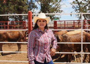 Refuerzan Sonora, México y Estados Unidos acciones para proteger la sanidad ganadera ante el gusano barrenador