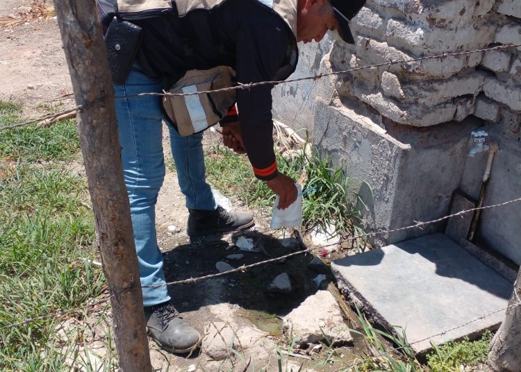Elimina Salud Sonora más de un millón de criaderos potenciales de mosquito