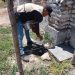 Elimina Salud Sonora más de un millón de criaderos potenciales de mosquito