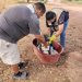 Refuerza Salud Sonora acciones preventivas contra la rickettsia para proteger a las familias