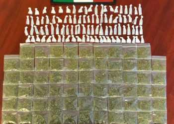 Asegura Policía Estatal más de 150 dosis de narcótico en Tierra Nueva