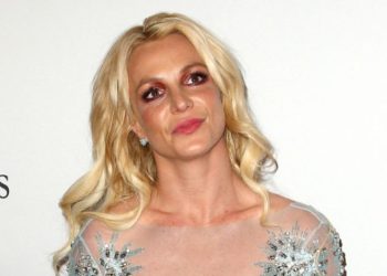 Britney Spears desea tener otro hijo
