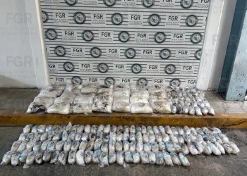 Interceptan en Sonora 145 kilos de metanfetamina enviados por paquetería