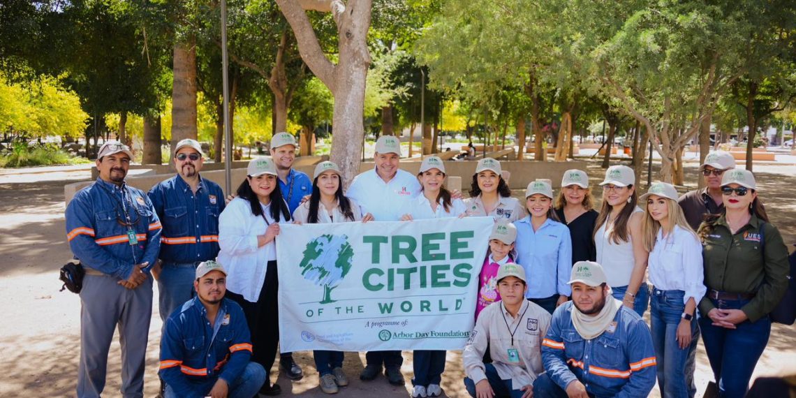 Plantación de más 113 mil árboles ayudan a mejorar el medio ambiente: Ayuntamiento de Hermosillo