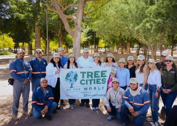 Plantación de más 113 mil árboles ayudan a mejorar el medio ambiente: Ayuntamiento de Hermosillo