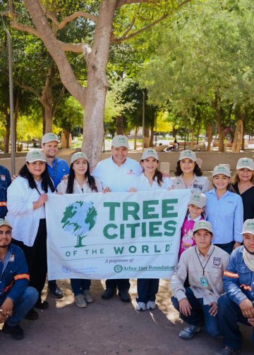 Plantación de más 113 mil árboles ayudan a mejorar el medio ambiente: Ayuntamiento de Hermosillo