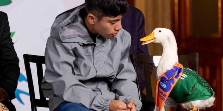 Pato “Merlín” llega a Palacio Nacional