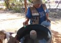 Refuerza Salud Sonora combate al dengue con fumigación de más de 65 mil hectáreas