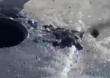 Exhorta Agua de Hermosillo a evitar tirar toallas húmedas en sanitarios