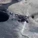 Exhorta Agua de Hermosillo a evitar tirar toallas húmedas en sanitarios