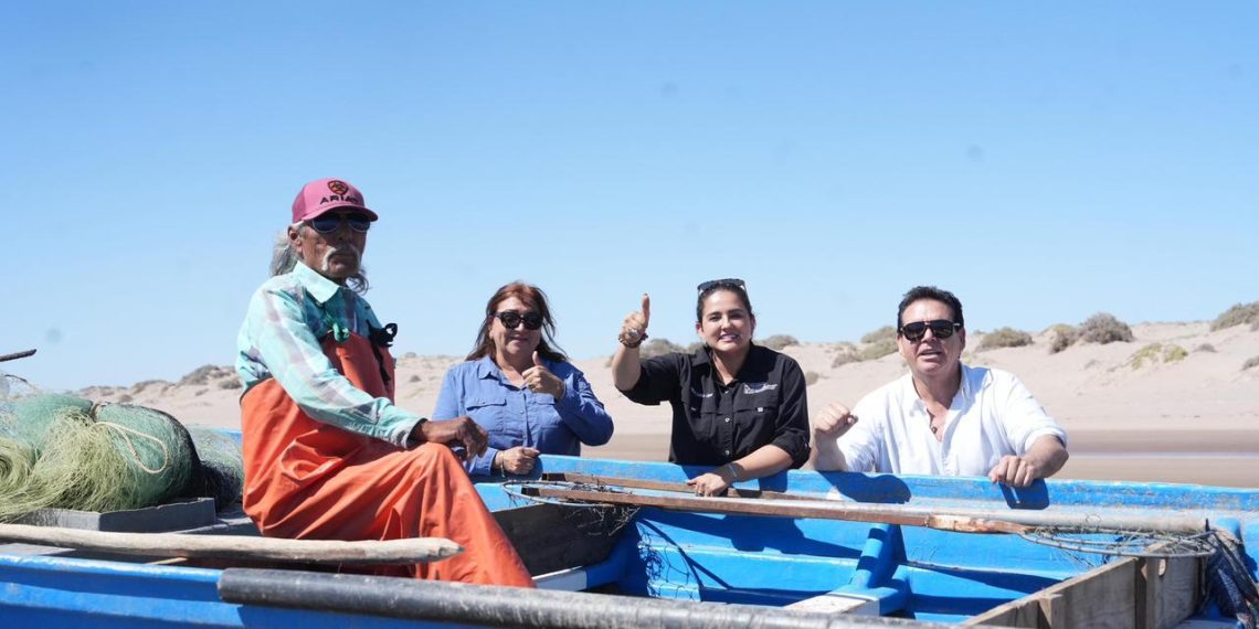 Medusa bola de cañón consolida a Sonora como potencia pesquera: Celida López