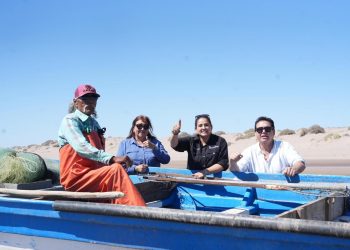 Medusa bola de cañón consolida a Sonora como potencia pesquera: Celida López