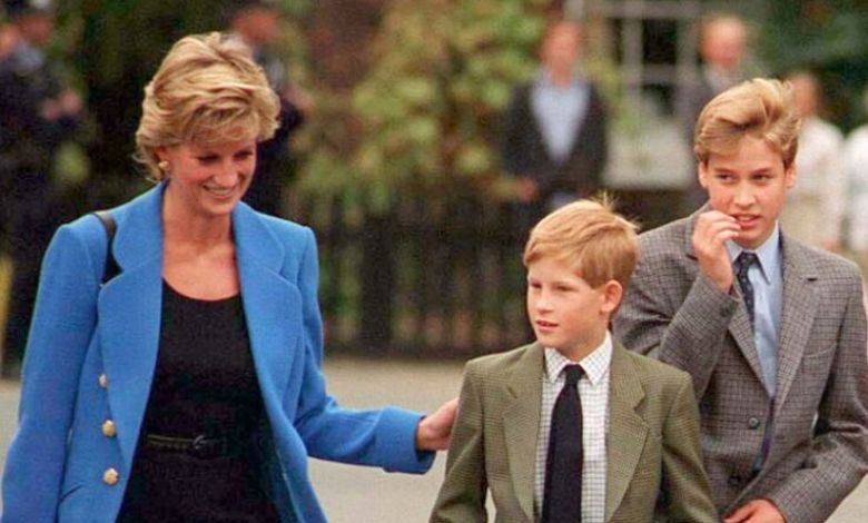 Diana soñaba con unos hijos unidos