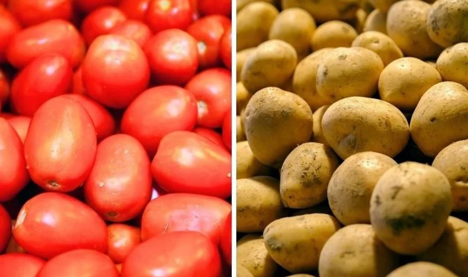 Disparan jitomate y papa costo de canasta alimentaria