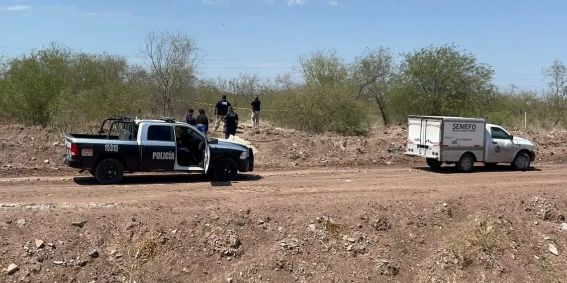 Localizan osamenta al norte de Ciudad Obregón