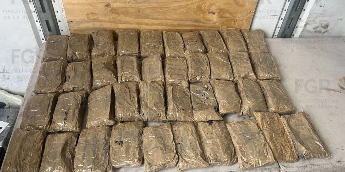 FGR asegura 20 kilos de heroína en Sonoyta