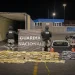 Cárteles mexicanos encabezan abasto global de drogas: ONU