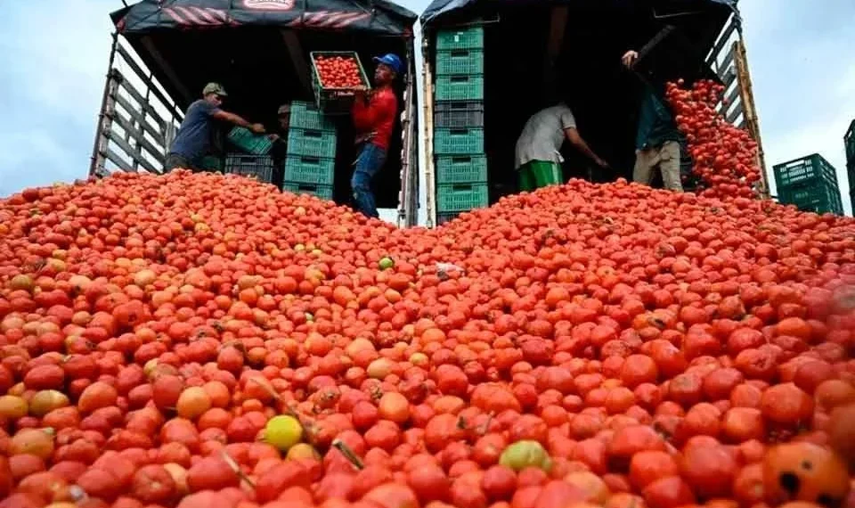 Tomate lidera alzas de precios