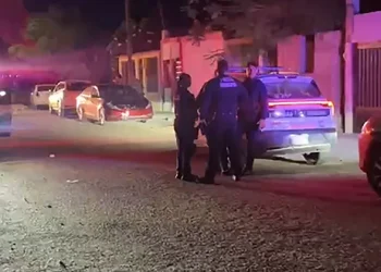 Intenta degollar a su madre en la colonia Arboledas