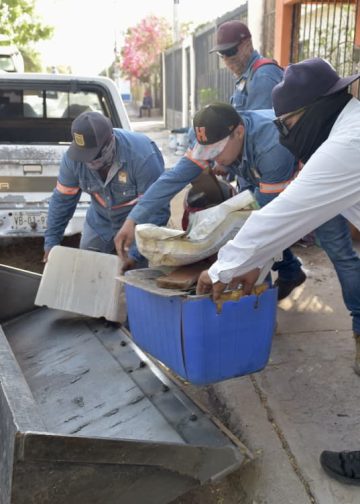 Llevará Gobierno de Hermosillo jornada de descacharre a la colonia Y Griega